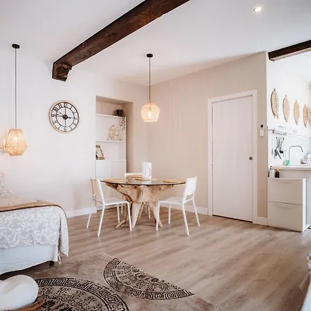 Siri's Appartement Pinerol