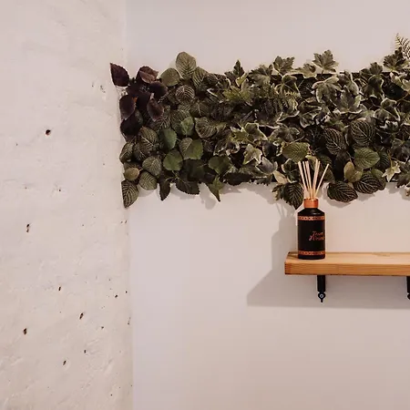 Appartement Siri's *